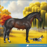 Horse Color:Brown