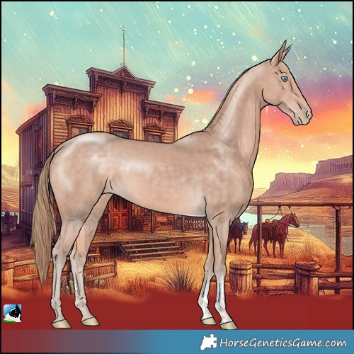 Horse Color:Perlino Mushroom Sabino Rabicano 