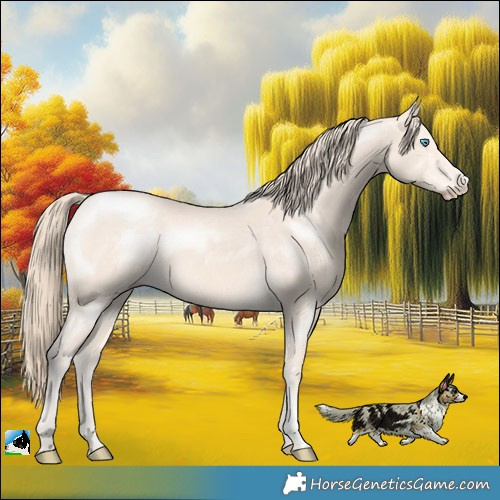 Horse Color:Perlino Mushroom Sabino Rabicano