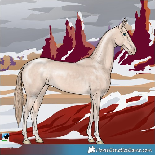 Horse Color:Perlino Mushroom Sabino Rabicano 