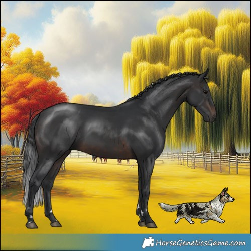Horse Color:Brown 