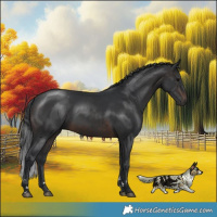 Horse Color:Brown 