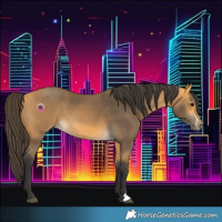 Horse Color:Buckskin 