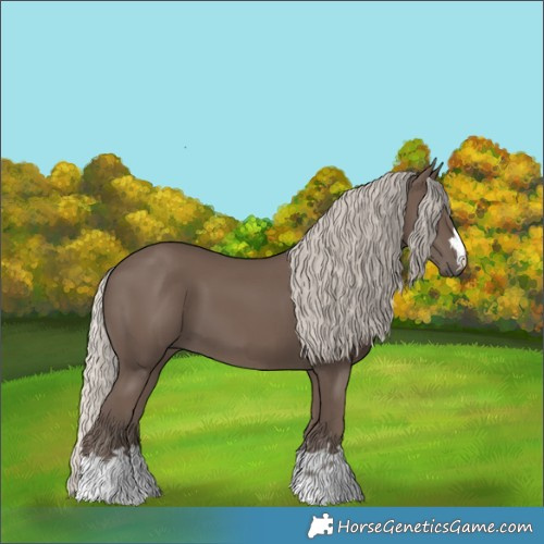 Horse Color:Silver Black