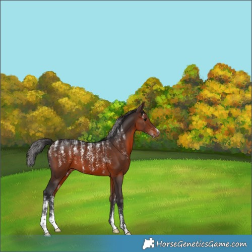 Horse Color:Powder White Brown 