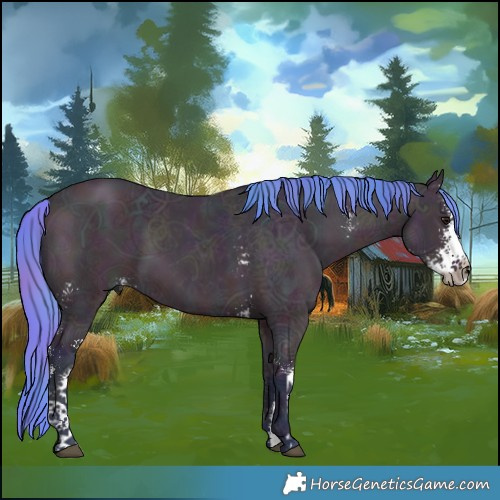 Horse Color:Nacre Watercolor Midnight Chocolate Bay Ice Sabino 