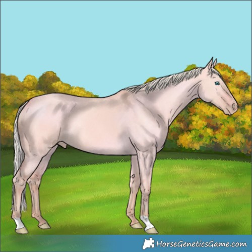 Horse Color:Watercolor Silver Perlino Dun Rabicano 