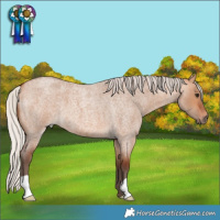 Horse Color:Silver Bay Roan Dun