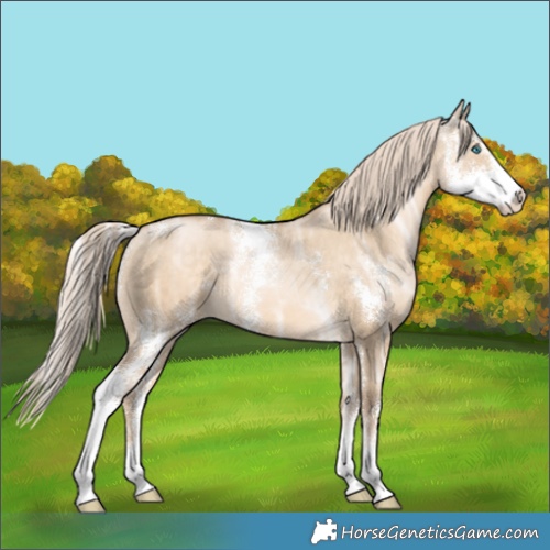 Horse Color:Chocolate Palomino Ice Pearl Dun Sabino 