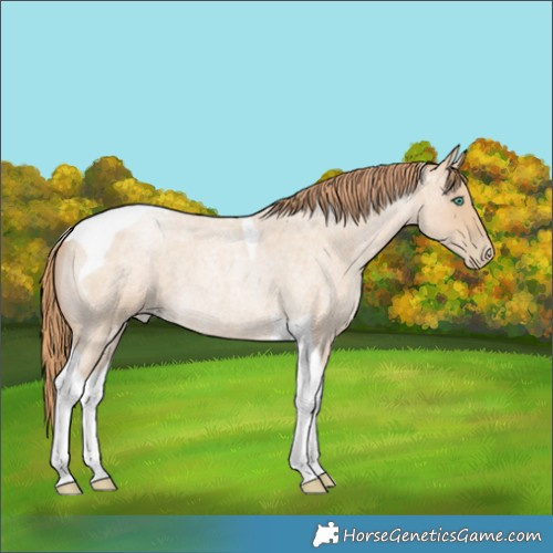 Horse Color:Smoky Blue Roan Pearl Tobiano