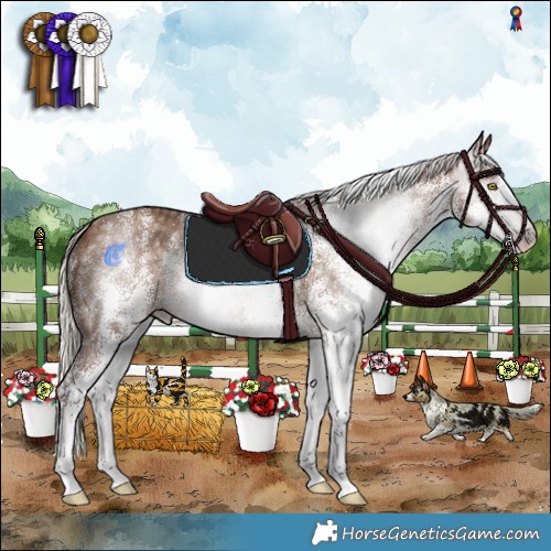 Horse Color:Gray White Spotted Silver Sable Champagne 