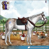 Horse Color:Gray White Spotted Silver Sable Champagne