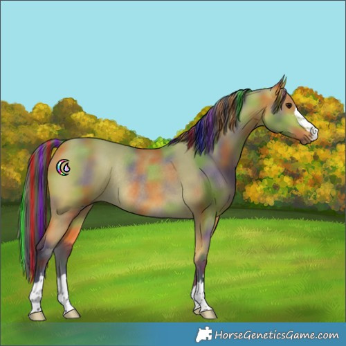 Horse Color:Painted Nacre Buckskin Rabicano