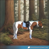 Horse Color:Bay Tobiano 