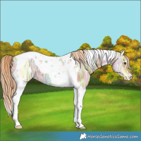 Horse Color:Chestnut Ice Tobiano 