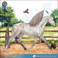 Horse Color:Bay Dun Varnish
