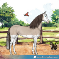 Horse Color:Classic Champagne Dun Splash 