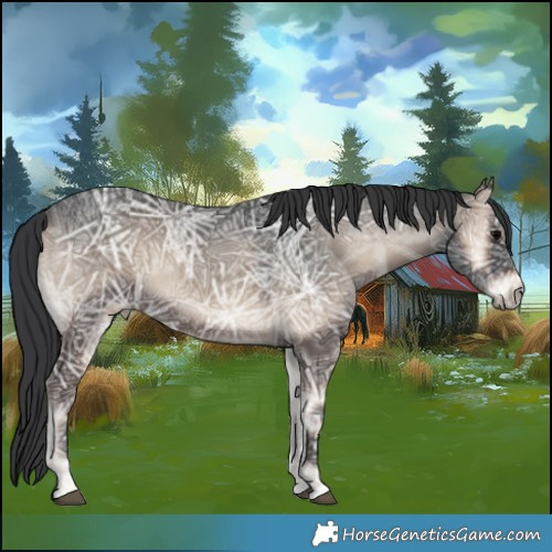 Horse Color:Blue Onyx Ice 