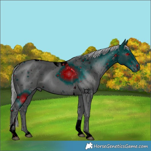 Horse Color:ERROR: UNKNOWN ANOMALY