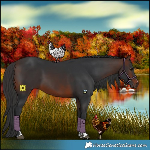 Horse Color:Brown 