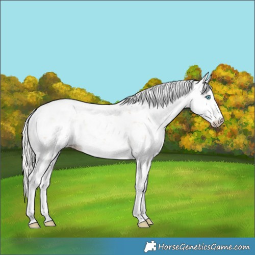 Horse Color:Silver Smoky Black Pearl Sabino 