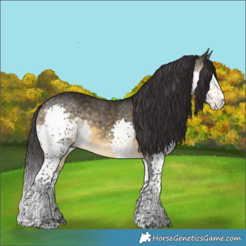 Horse Color:Buckskin Splash Tobiano Rabicano 