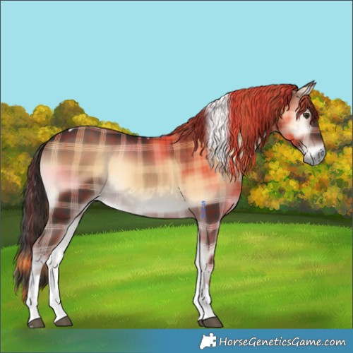 Horse Color:Plaid  Liver Red Onyx Tobiano 