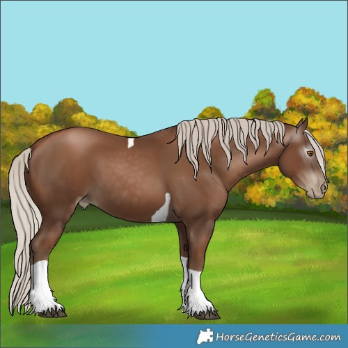 Horse Color:Gray Silver Black Pearl Tobiano 