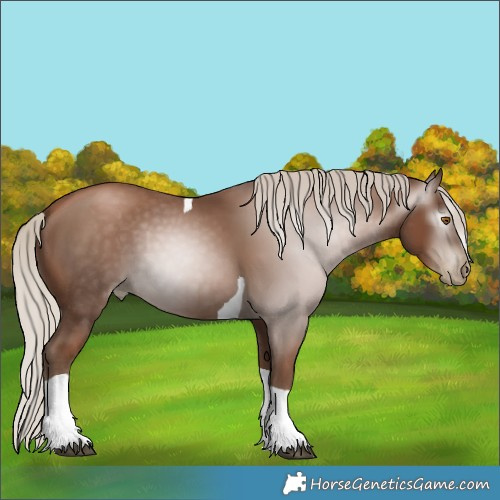 Horse Color:Gray Silver Black Pearl Tobiano 