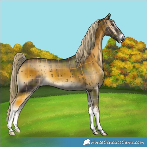 Horse Color:Plaid  Chocolate Palomino Onyx Tobiano 