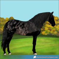 Horse Color:Void Platinum Brown Splash Blanket 