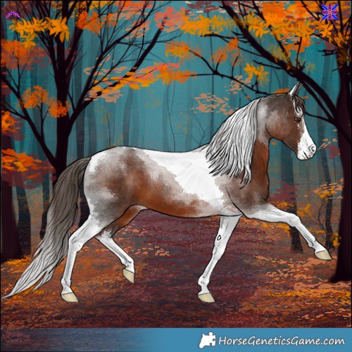 Horse Color:White Spotted Liver Chestnut Tobiano 