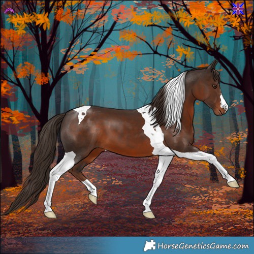 Horse Color:Liver Chestnut Tobiano 