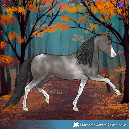 Horse Color:White Spotted Grullo Tobiano 