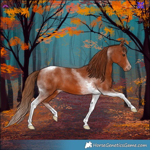 Horse Color:Chestnut Tobiano 