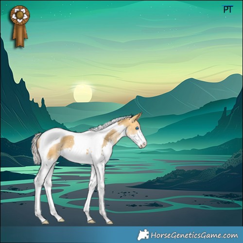 Horse Color:Silver Buckskin Splash Tobiano