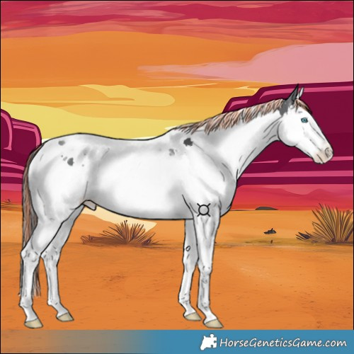 Horse Color:Painted Black Splash Tobiano 