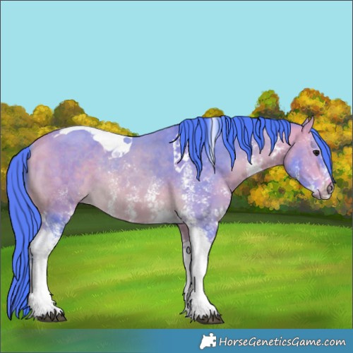 Horse Color:Watercolor White Spotted Buckskin Tobiano Rabicano 