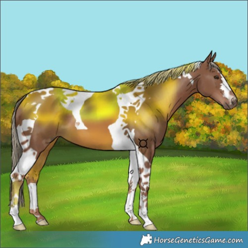 Horse Color:Chestnut Mushroom Tobiano 