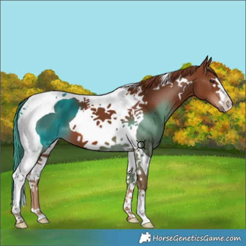 Horse Color:Chestnut Tobiano 