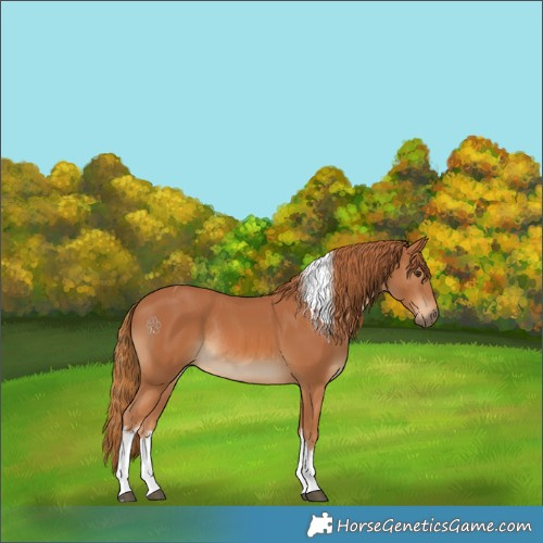 Horse Color:White Spotted Chestnut Tobiano Rabicano 