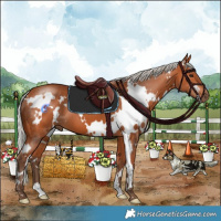 Horse Color:White Spotted Silver Bay 