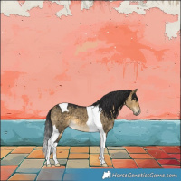 Horse Color:Buckskin Dun Tobiano Brindle 