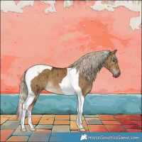 Horse Color:Chocolate Palomino Dun Tobiano Brindle 