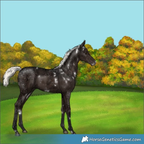 Horse Color:White Spotted Liver Chestnut Ice Mushroom 