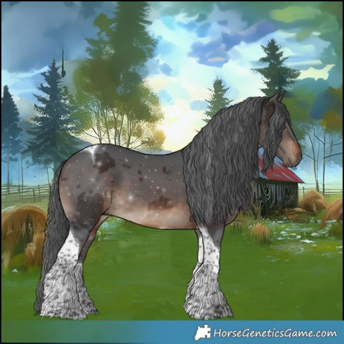Horse Color:Brown Merle Tobiano 