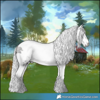 Horse Color:Powder White White Spotted Brown Merle
