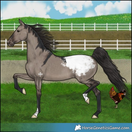 Horse Color:Brown Dun Mushroom Snowcap 