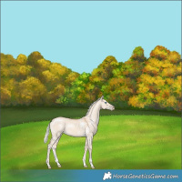 Horse Color:White Spotted Silver Smoky Creme Dun Sabino Rabicano 