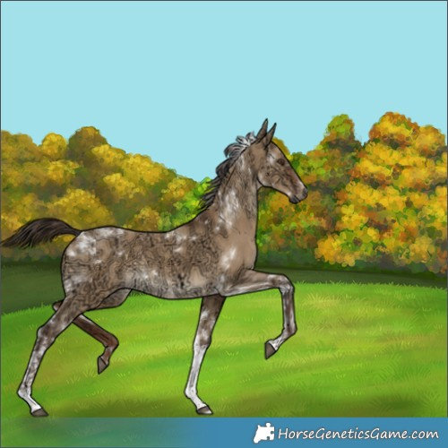 Horse Color:Gray Liver Red Dun Ice Tobiano 